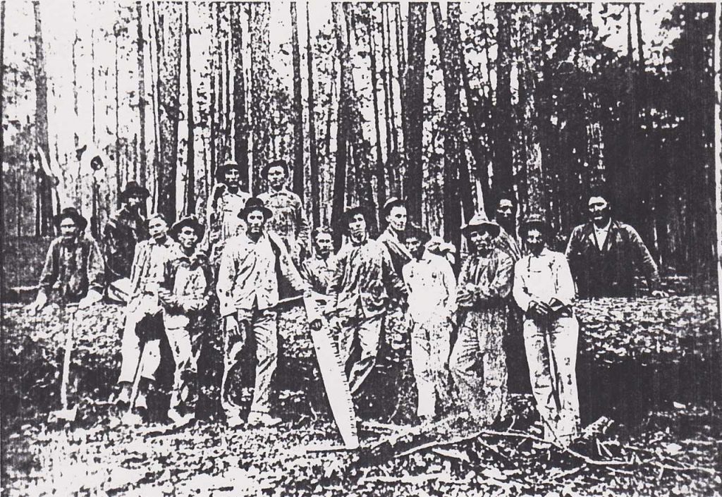 Treebillies in the deep ETX forest in the early 20th century